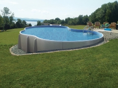 free form above ground pool